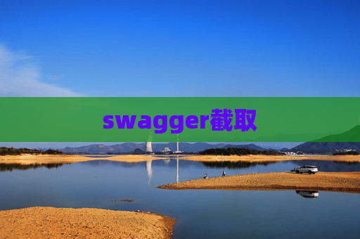 swagger截取